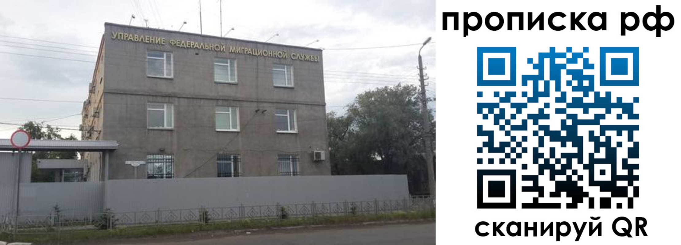 прописка регистрация в Похвистнево